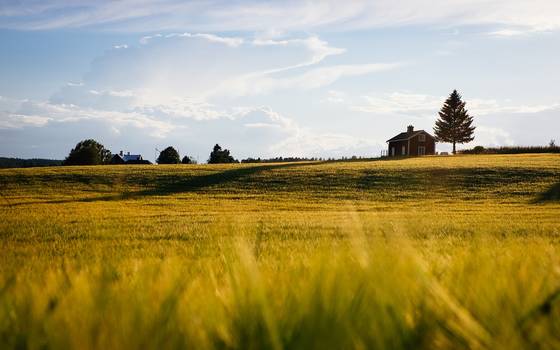 Come ipotecare un terreno? 