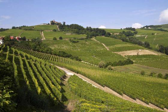 Finanziamenti a Start Up Agricole, Realizza la Tua Idea