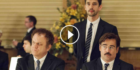 The Lobster - Trama e Trailer