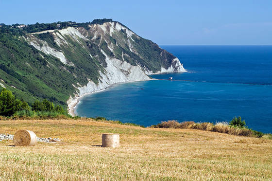 Le Offerte per una Vacanza in Agriturismo nelle Marche