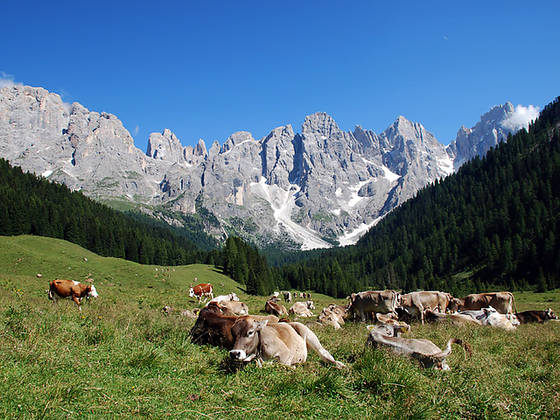 In Bicicletta per il Trentino – Gli Itinerari Più Belli