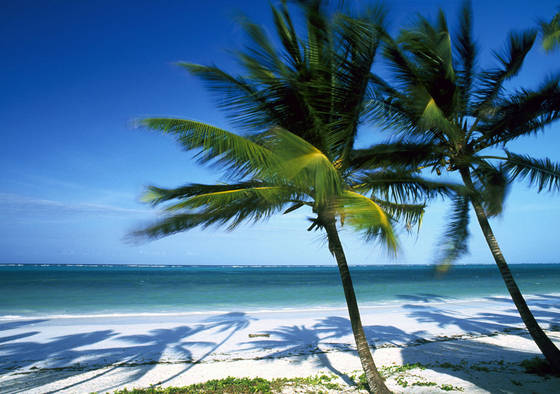 Zanzibar: l'isola della spezie