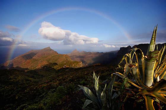 Tenerife - Un Viaggio Esotico per un Caldo Inverno