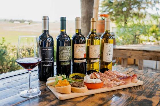 Viaggio in Toscana: storia, cultura e sapori della Maremma