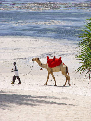 Kenya - Perchè Non Scoprirlo questo Inverno?