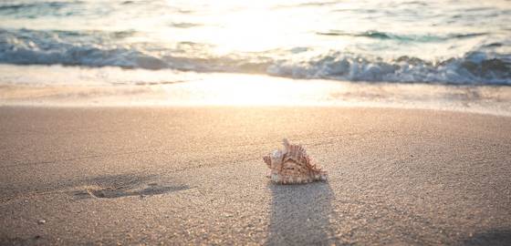 Quali sono le spiagge migliori della Riviera Romagnola?