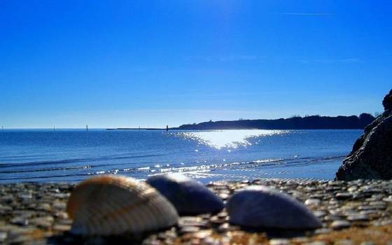 Cosa Offre la Costa del Veneto per le Vacanze Estive