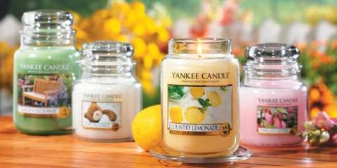 Yankee Candle - Rivenditori Online