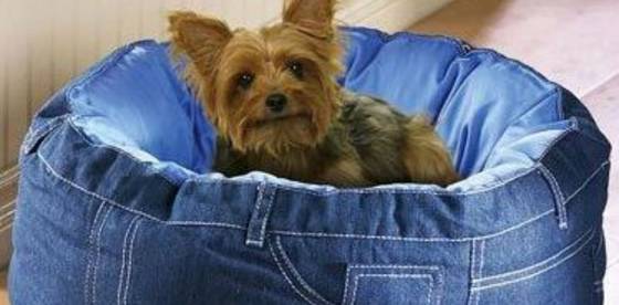Come fare una cuccia con vecchi jeans una bella idea per il tuo cucciolo