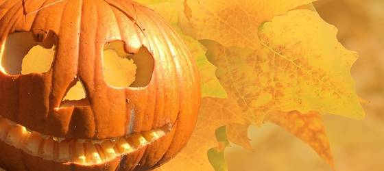 Zucche di Halloween come decorare e creare il simbolo della festa
