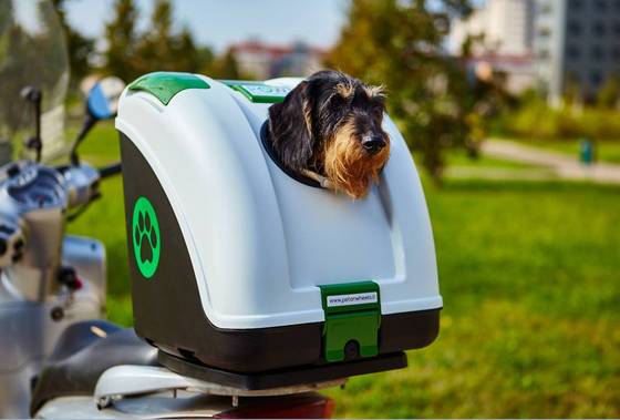 Bauletto per Cani Moto - Viaggia in Sicurezza in Moto o Bici