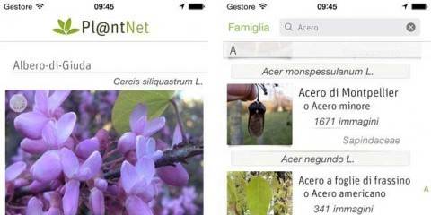 PlantNet - La App per Riconoscere le Piante