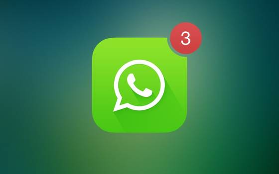 Nascondere Contatto Whatsapp