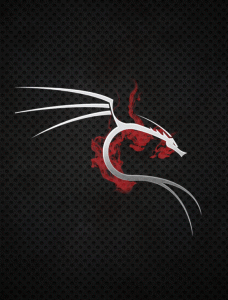 Come Navigare Anonimi con Kali Linux